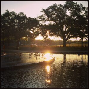 Houston's Herman Park